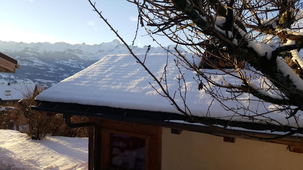 Chalet Cosy Proche Tramway Du Mont-Blanc Et Centre Saint-Gervais-les-Bains Exteriör bild